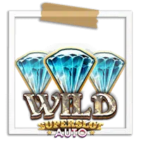 Wild-HarleCoin