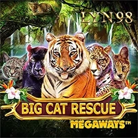 ทดลองเล่น Big Cat Rescue